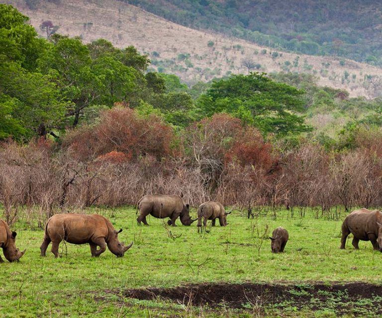 2 Days Safari to Tarangire & Ngorongoro Crater